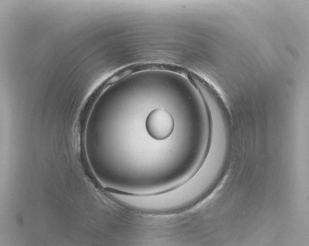 X0000116790925200912241159