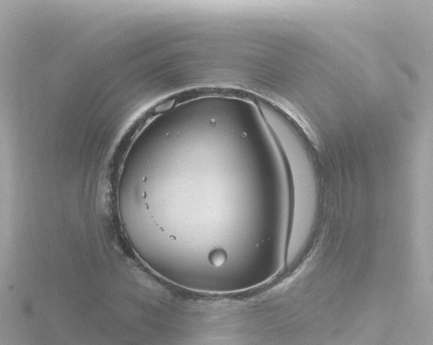 X0000116790926200912241159