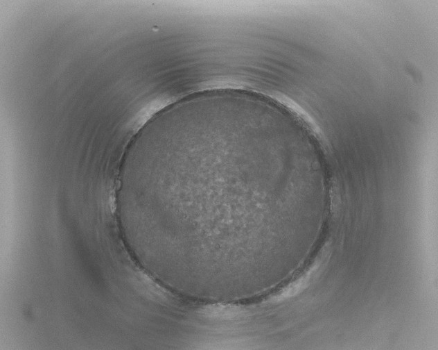 X0000116790929200912241159