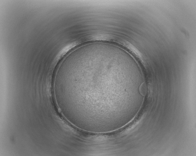 X0000116790930200912241159