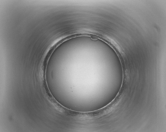 X0000116790931200912241159