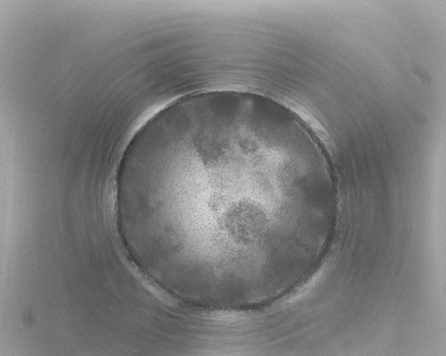 X0000116790933200912241159