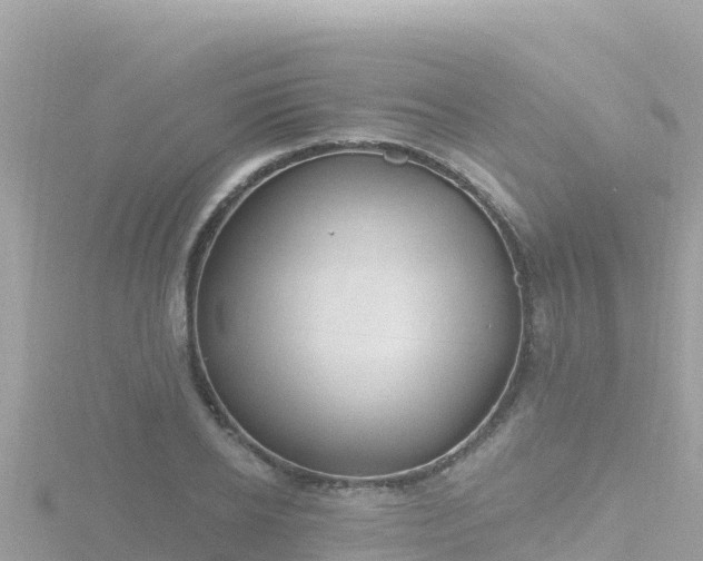 X0000116790934200912241159