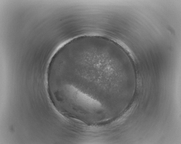 X0000116790935200912241159