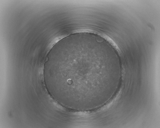 X0000116790937200912241159