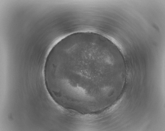 X0000116790943200912241159