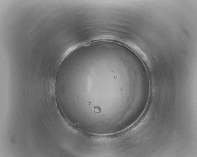 X0000116790945200912241159