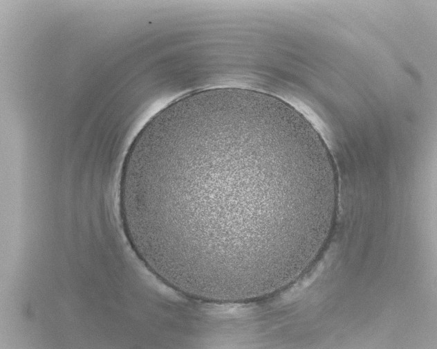 X0000116790949200912241159