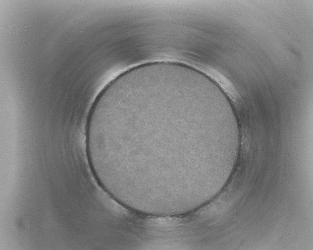 X0000116790950200912241159