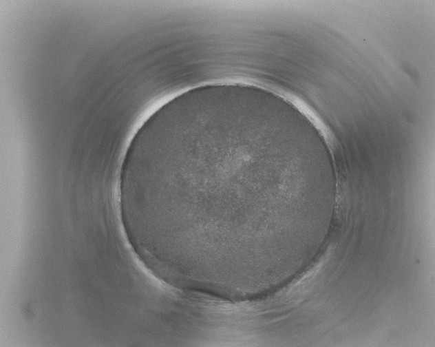 X0000116790951200912241159