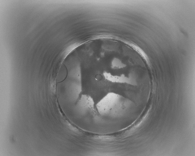 X0000116790953200912241159