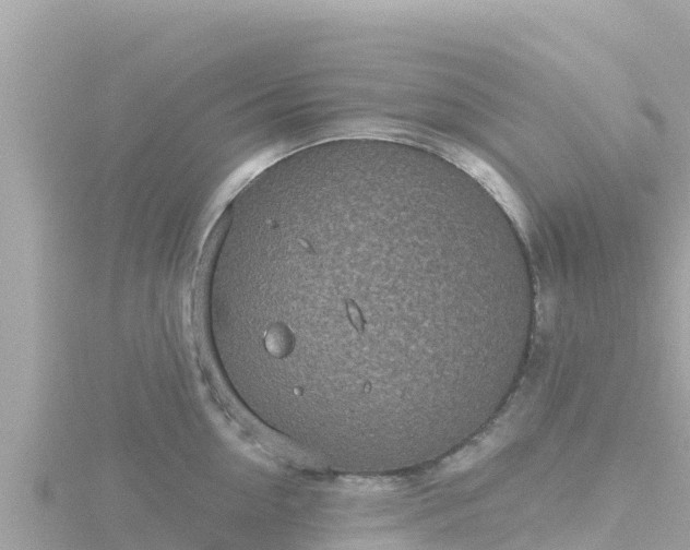 X0000116790954200912241159