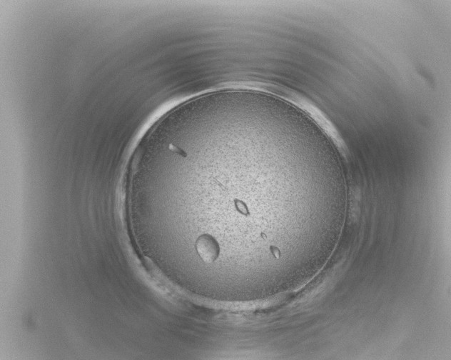 X0000116790955200912241159