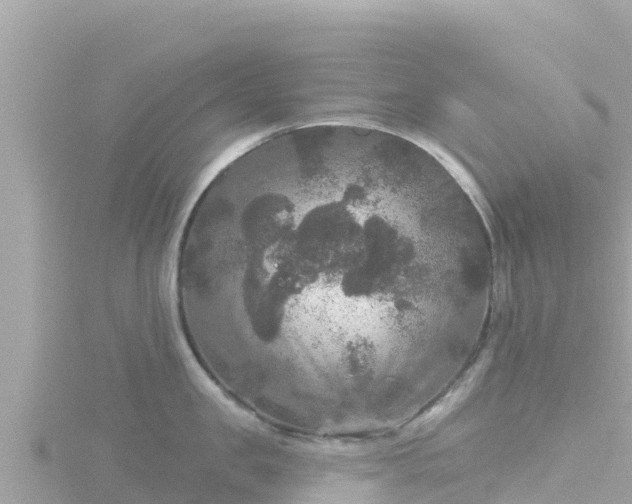 X0000116790957200912241159