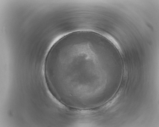 X0000116790958200912241159