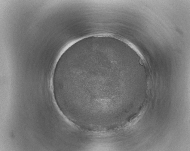 X0000116790959200912241159