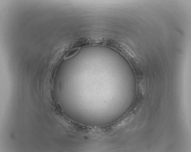 X0000116790961200912241159