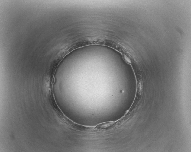 X0000116790963200912241159