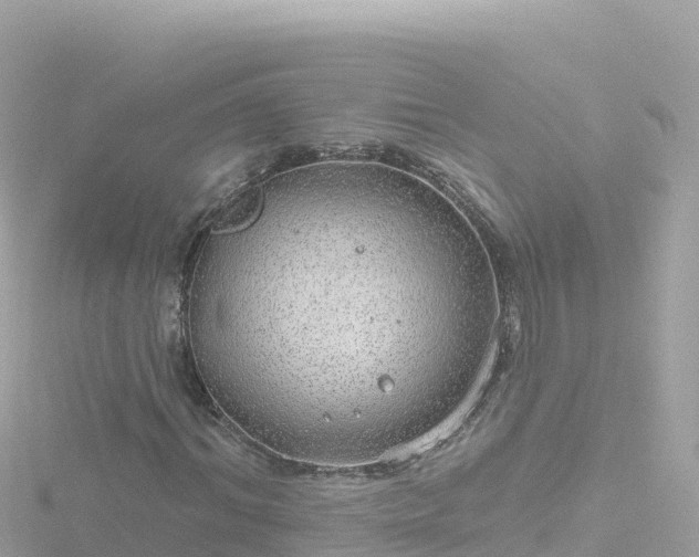 X0000116790964200912241159