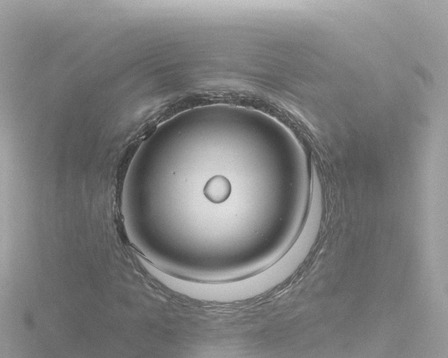 X0000116790965200912241159