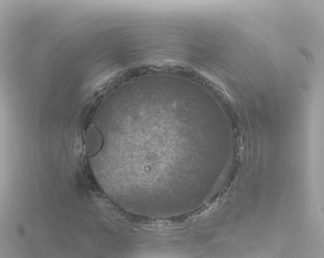 X0000116790966200912241159