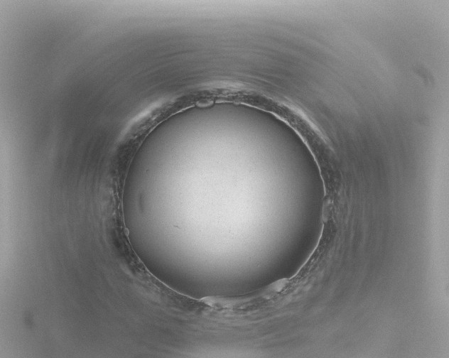 X0000116790967200912241159