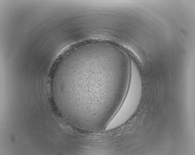 X0000116790968200912241159