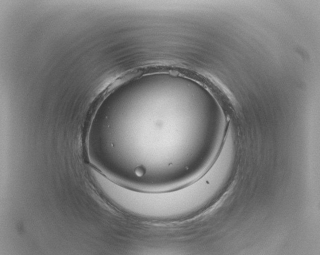 X0000116790969200912241159