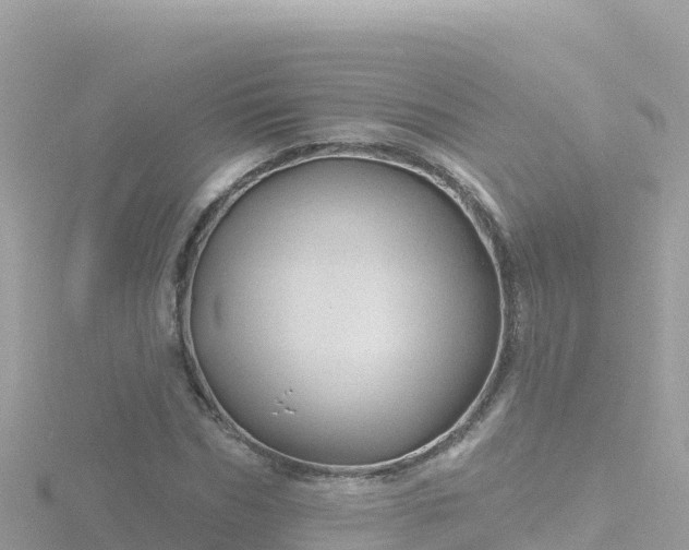 X0000116790970200912241159