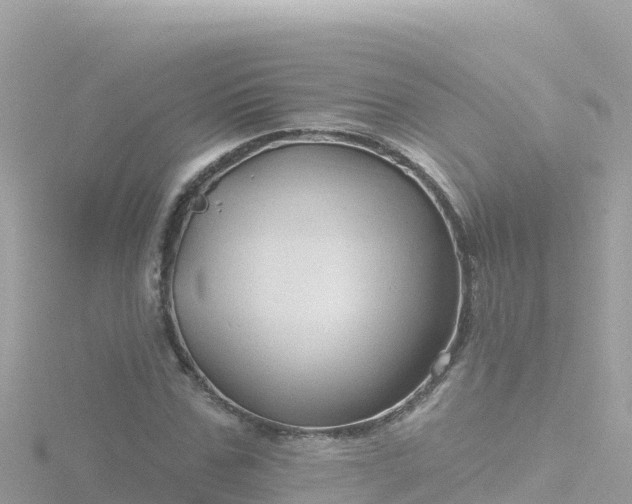 X0000116790971200912241159