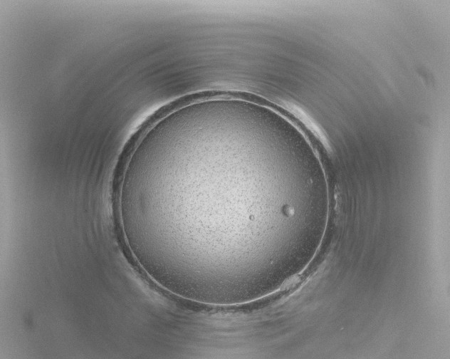 X0000116790972200912241159