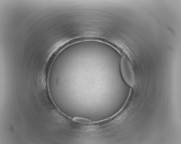 X0000116790973200912241159