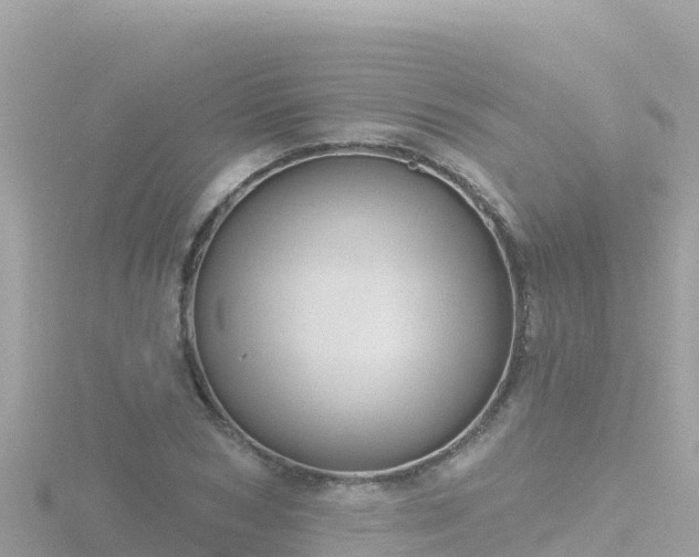 X0000116790978200912241159