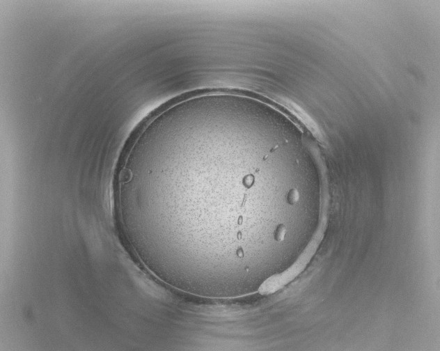 X0000116790980200912241159