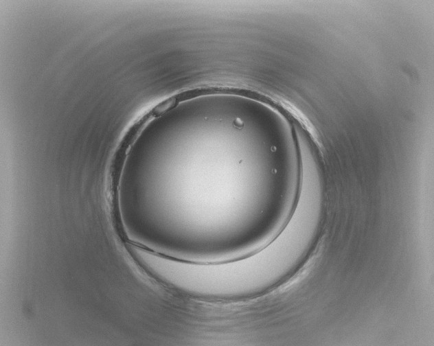 X0000116790981200912241158