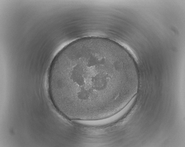 X0000116790983200912241158