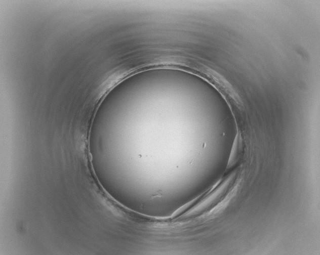 X0000116790985200912241158