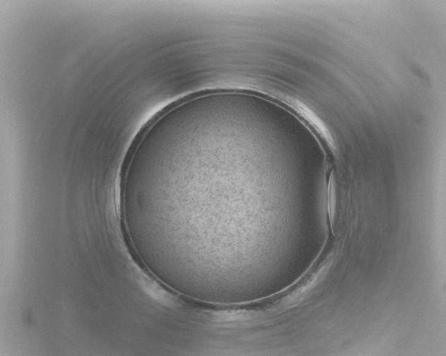 X0000116790988200912241158