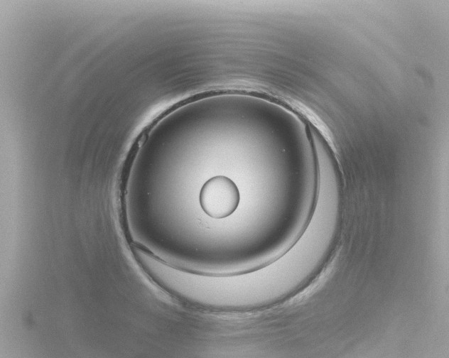 X0000116790989200912241158