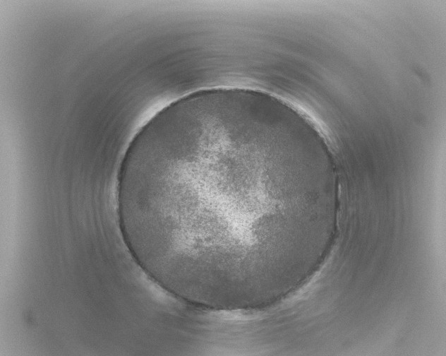 X0000116790990200912241158