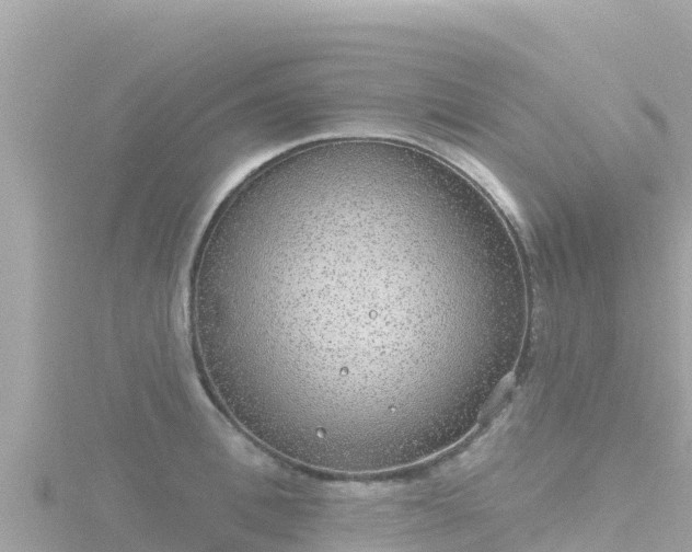 X0000116790996200912241158