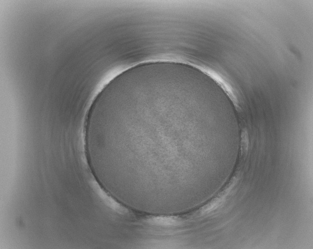 X0000116790998200912241158