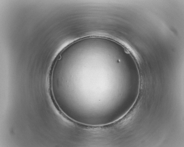 X0000116790999200912241158