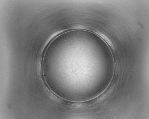 X0000116791000200912241158