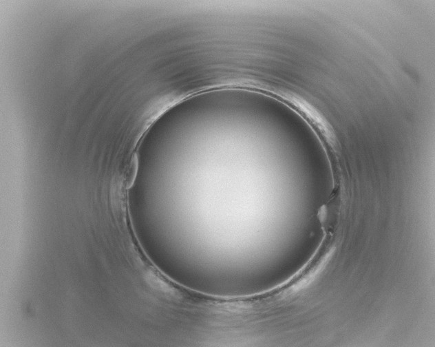 X0000116791001200912241158