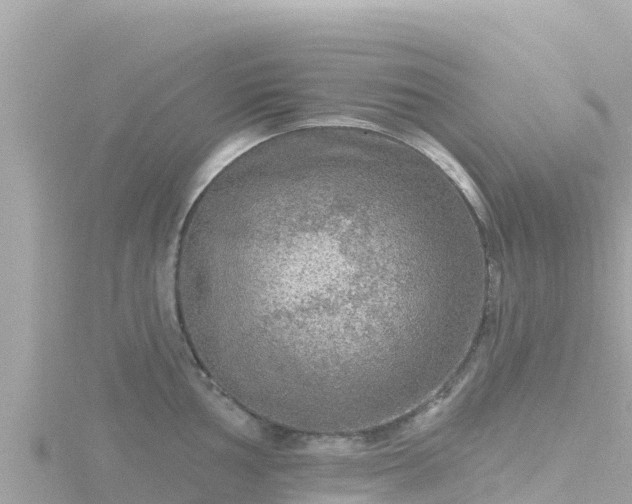 X0000116791002200912241158