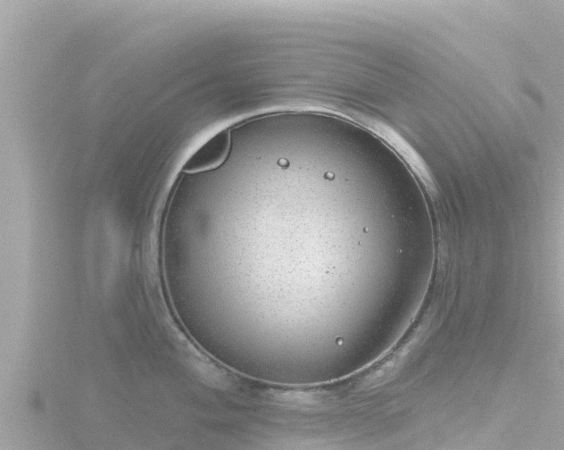 X0000116791004200912241158