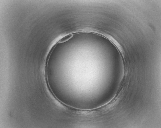 X0000116791005200912241158