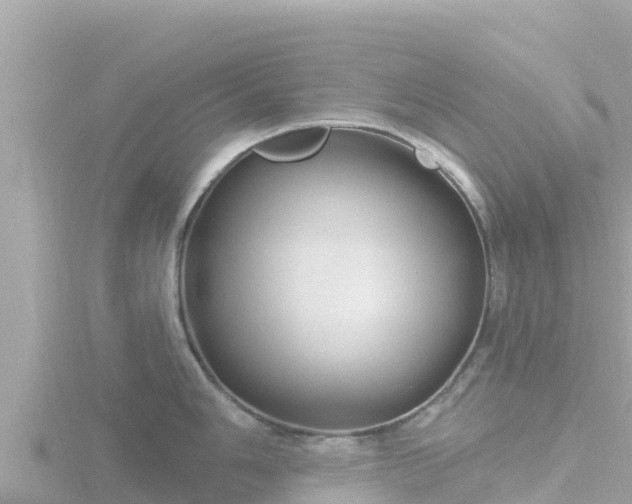 X0000116791006200912241158