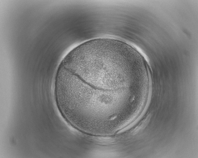 X0000116791007200912241158